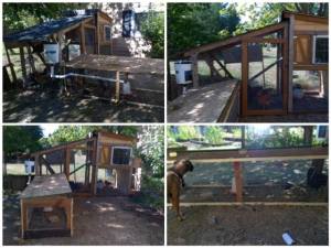 10687226_10152790939642932_1118277809607356926_n