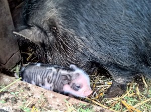 AdobePhotoshopExpress_06566af3764f4671a9aca54556010c0e