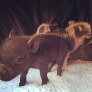 InstagramCapture_03463d7e-2a2b-463a-b0e9-eaef1bf68416