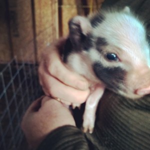 InstagramCapture_2cf494ca-3b37-4c0f-ae7a-e66a9aca855f