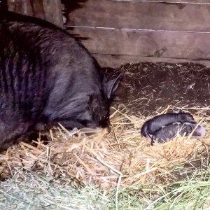 InstagramCapture_7da38957-1506-48e6-af26-12276f778e70