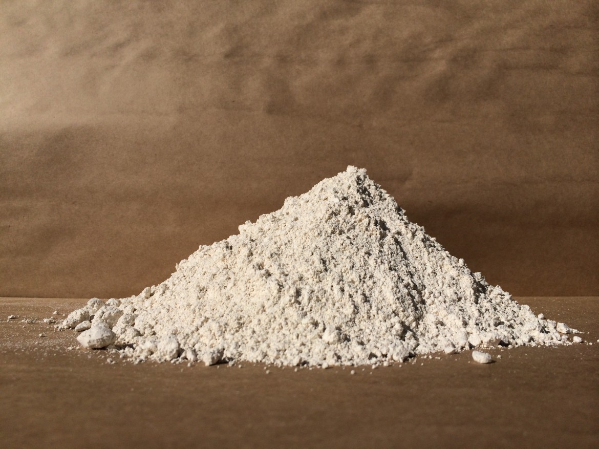 Diatomaceous-Earth