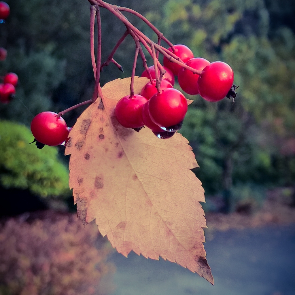 InstagramCapture_44c36732-3499-4199-9711-70a3a4c86645 1