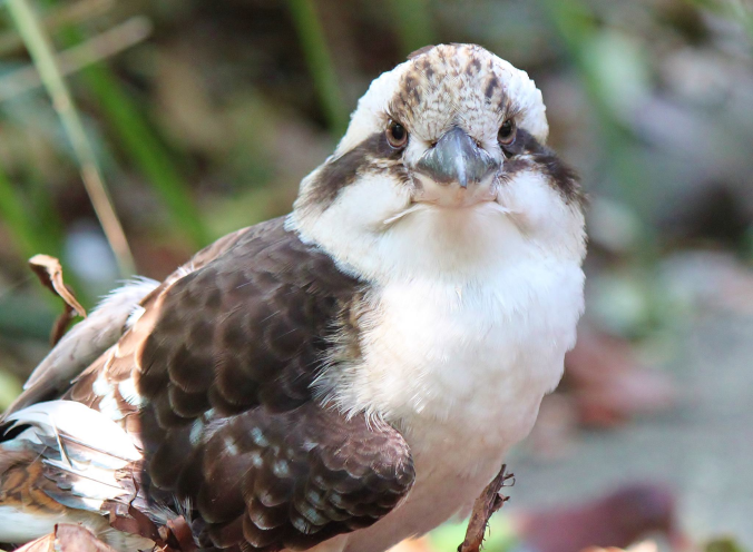 328292_10150546644027932_101444388_o