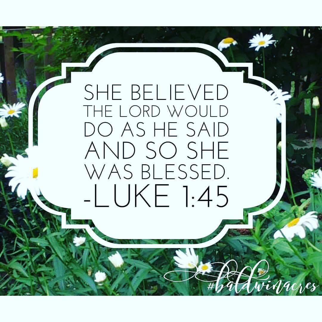 22712503_10155954994747932_2674501798813054187_o